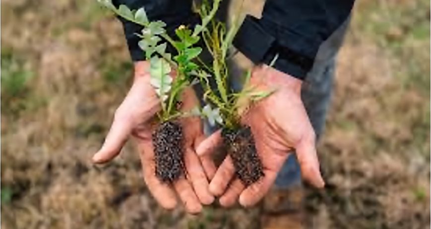 Organic farms avoid toxic inputs, improve soil health, grow clean, sustainable food that supports nature.