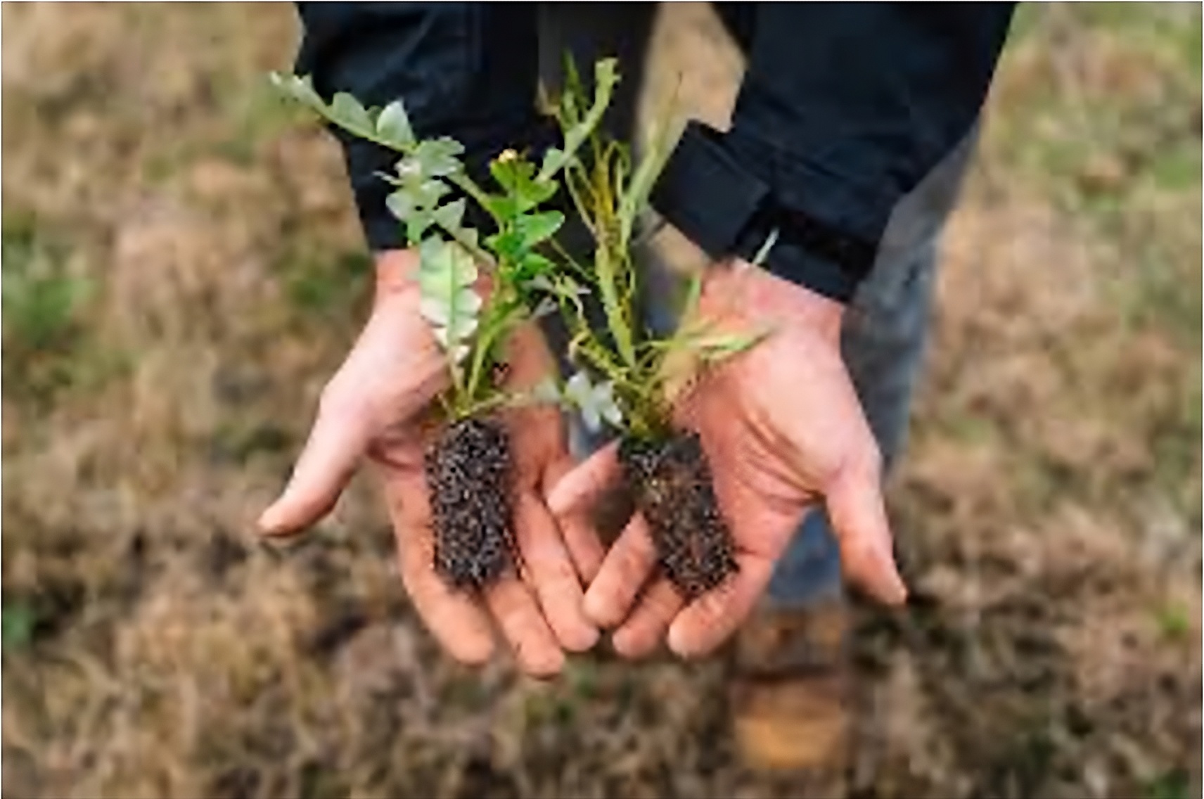 Organic farms avoid toxic inputs, improve soil health, grow clean, sustainable food that supports nature.