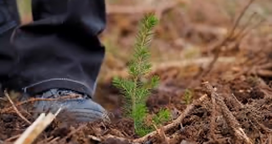 Organic farms avoid toxic inputs, improve soil health, grow clean, sustainable food that supports nature.
