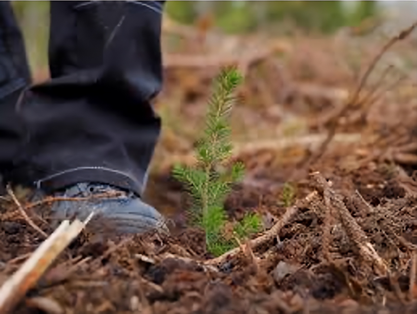 Organic farms avoid toxic inputs, improve soil health, grow clean, sustainable food that supports nature.